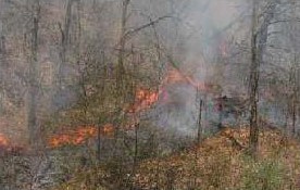 An example of a Prescribed Burn